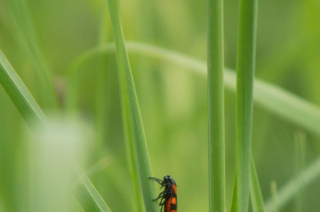 Imagen de la noticia: Resolución de la convocatoria de oferta de plazas ...