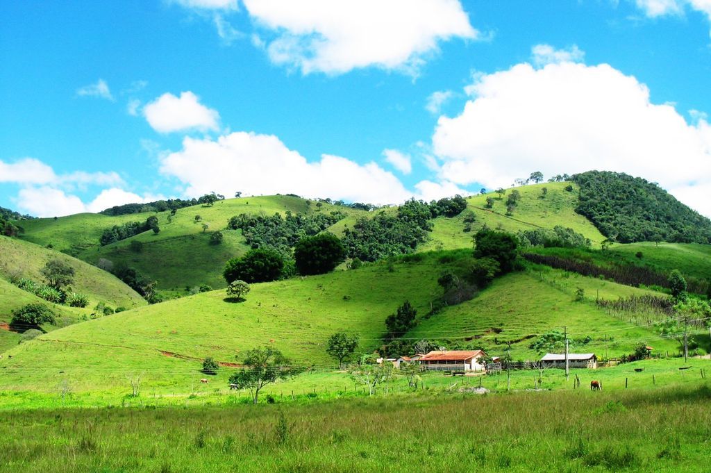 Imagen de la noticia: Guía/Procedimiento para publicar anuncios en el B ...