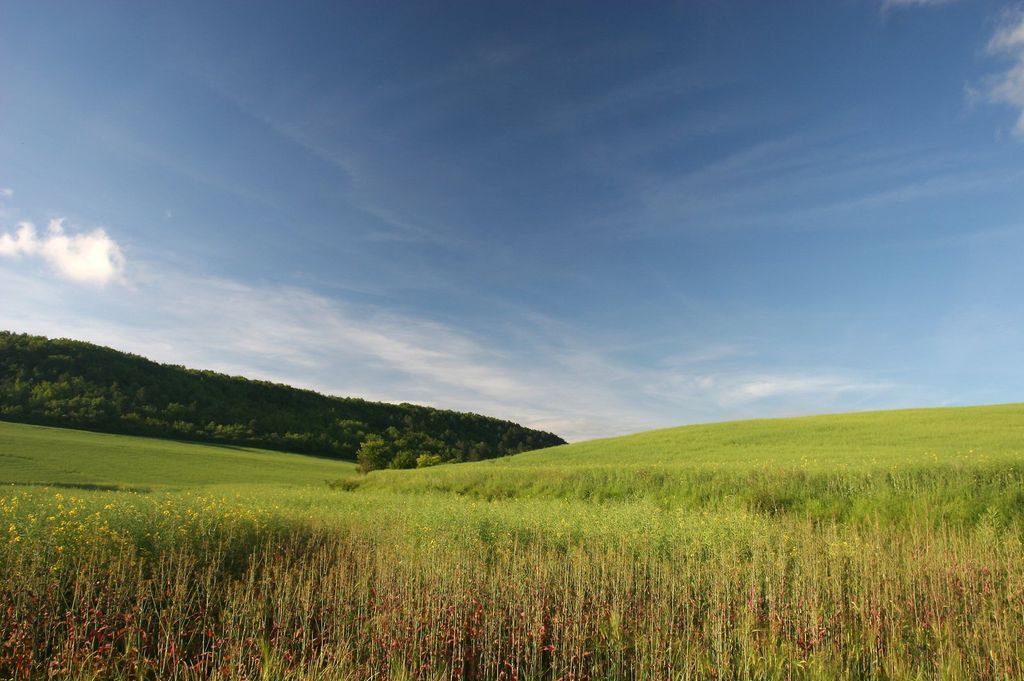 Imagen de la noticia: Manifestación de interés - Plan de recuperación ...